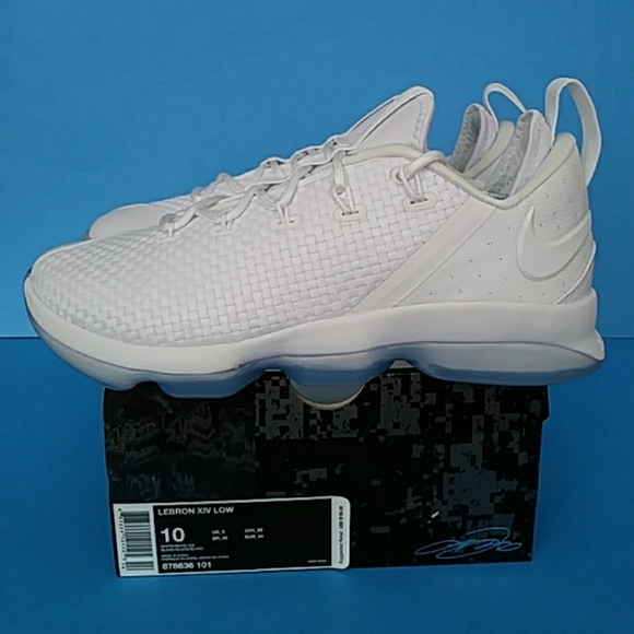 NIke Other - BRAND NEW NIKE LEBRON BASKETBALL. SNEAKER